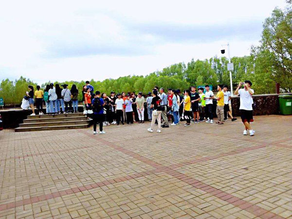 1560224351671166.jpg 1.jpg