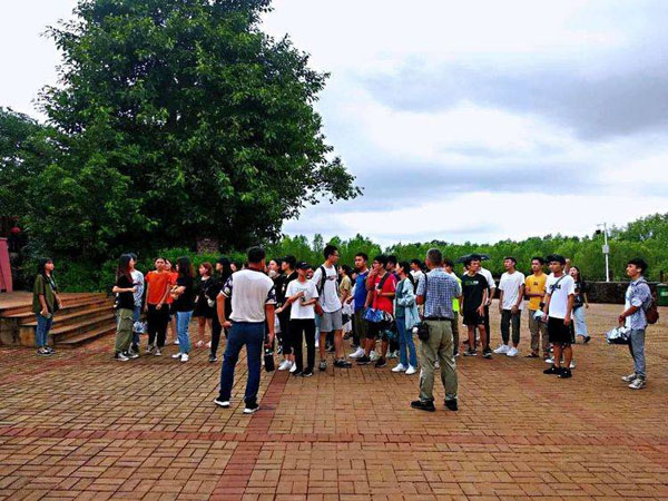 1560225102784168.jpg 8.jpg