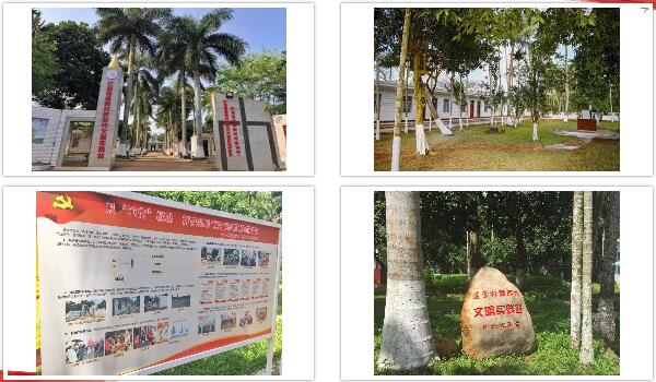 1563766408604845.jpg 5.jpg