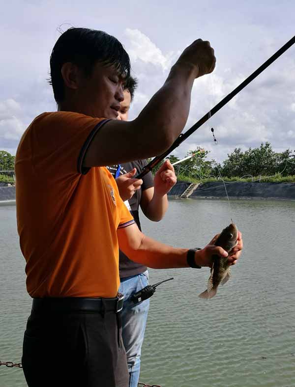 1565338283140565.jpg 3.jpg