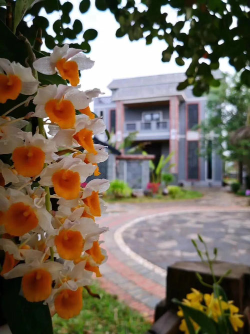 1596006820240948.jpg 13.jpg