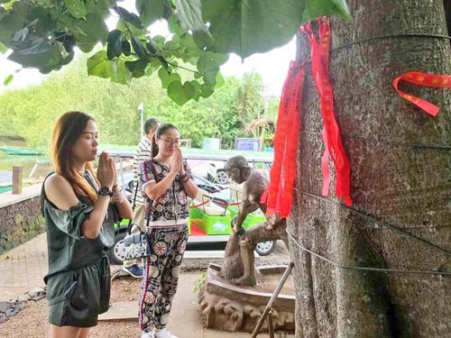 1596008908843950.jpg 83.jpg