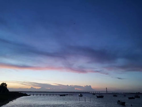 1596009170822078.jpg 92.jpg