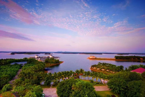 1596009352771030.jpg 99.jpg