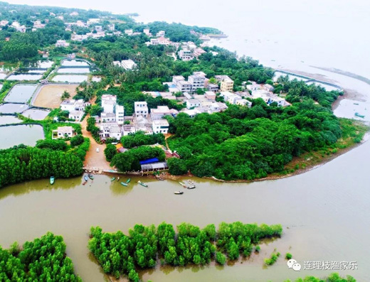 1639635952392314.jpg 1.jpg