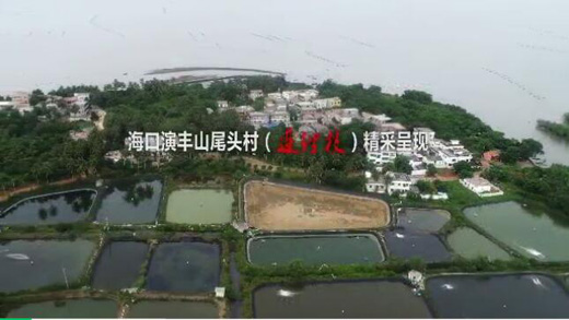 1639636122601133.jpg 2.jpg