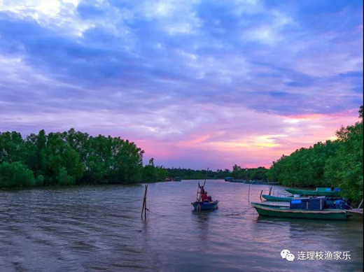 1639636366912209.jpg 6.jpg