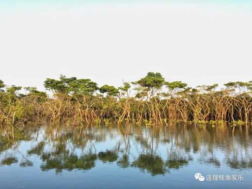 1639636631833007.jpg 9.jpg