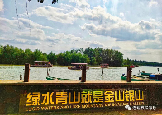 1639636765932905.jpg 10.jpg