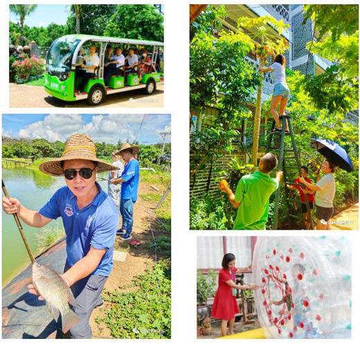 1639637369326862.jpg 19.jpg