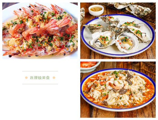 1639637529364726.jpg 22.jpg