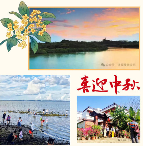 1758849091478699.jpg 40.jpg