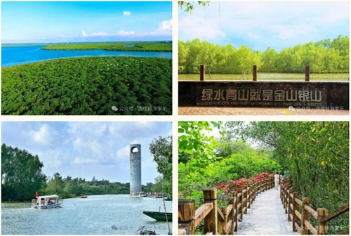 1758849236134912.jpg 38.jpg