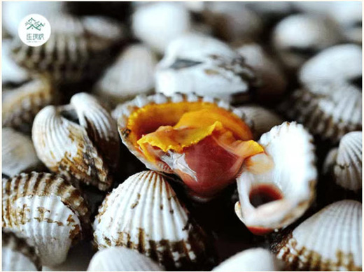 1758850242234255.jpg 23.jpg