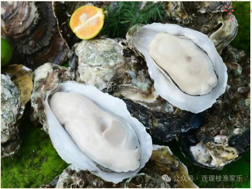 1762912346628327.jpg 9.jpg