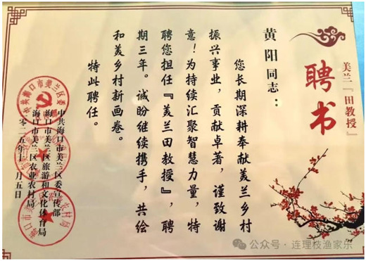 1765183598574125.jpg 18.jpg