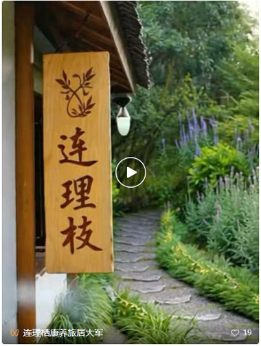 1767162739113946.jpg 36.jpg