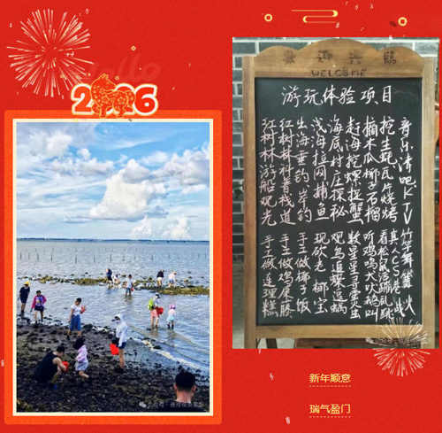 1767163118450466.jpg 31.jpg