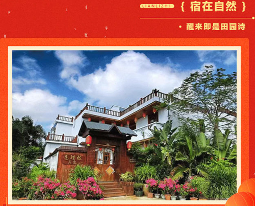 1767164866680055.jpg 20.jpg