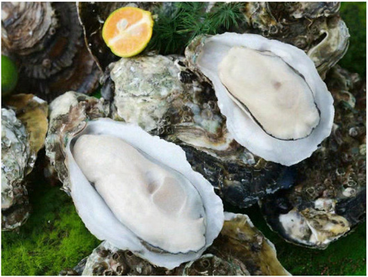 1767922789901253.jpg 23.jpg