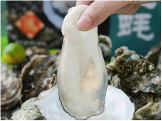 1767922803163707.jpg 25.jpg