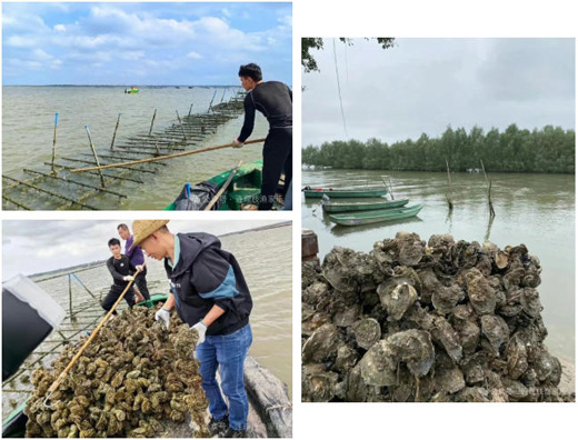 1767922982745851.jpg 20.jpg