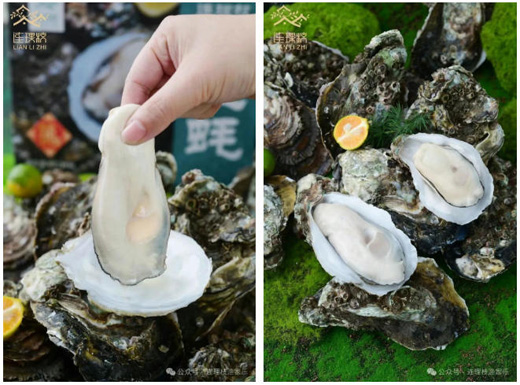 1767923028293027.jpg 19.jpg