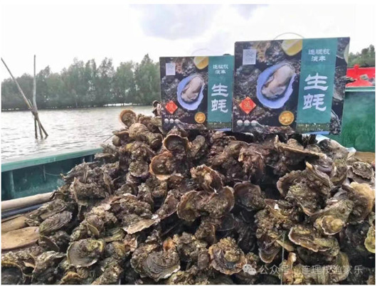 1767923595333131.jpg 17.jpg