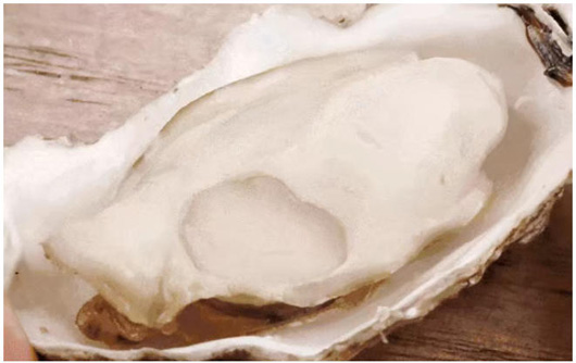 1767923704352047.jpg 16.jpg