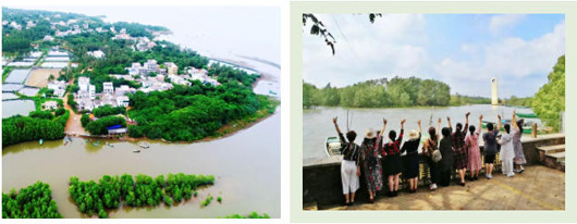 1773297586714212.jpg 31.jpg