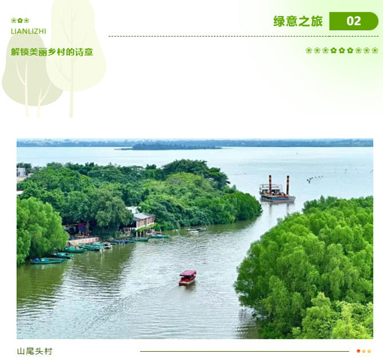 1773297654537645.jpg 30.jpg