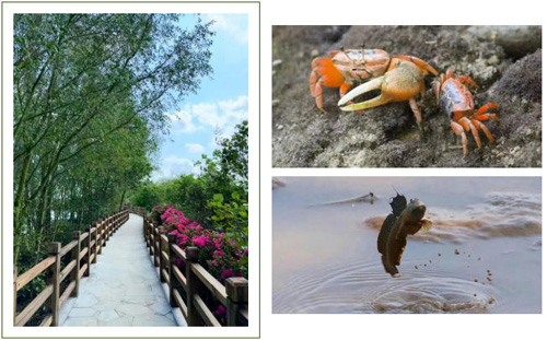 1773298072722327.jpg 28.jpg