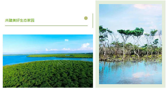 1773298134384848.jpg 27.jpg