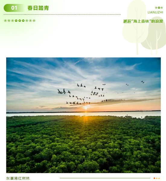 1773298209478474.jpg 26.jpg