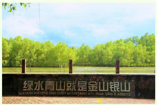 1773298343902083.jpg 24.jpg